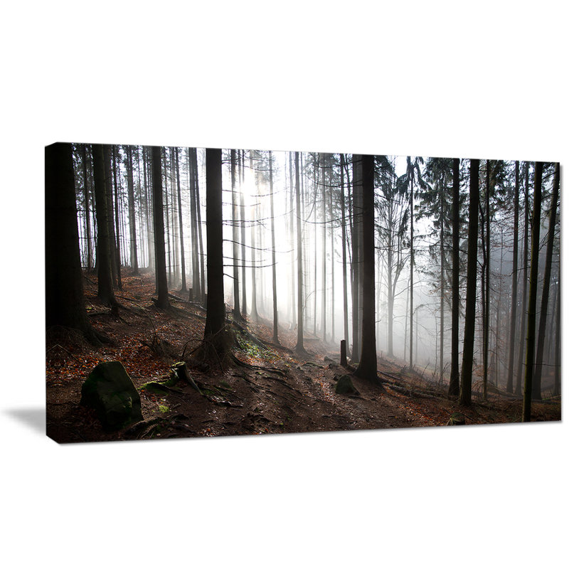 «Misty Forest Morning Panorama», reproduction de photo sur toile tendue, H 20 po x l 20 po x P 1 po