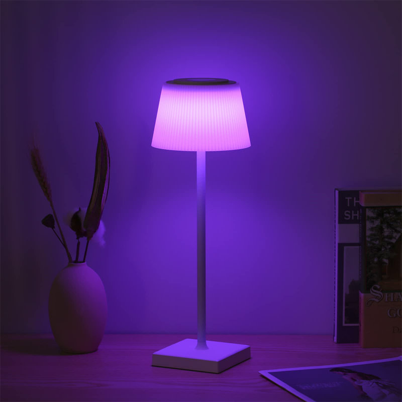 Ahlanni Metal Table Lamp