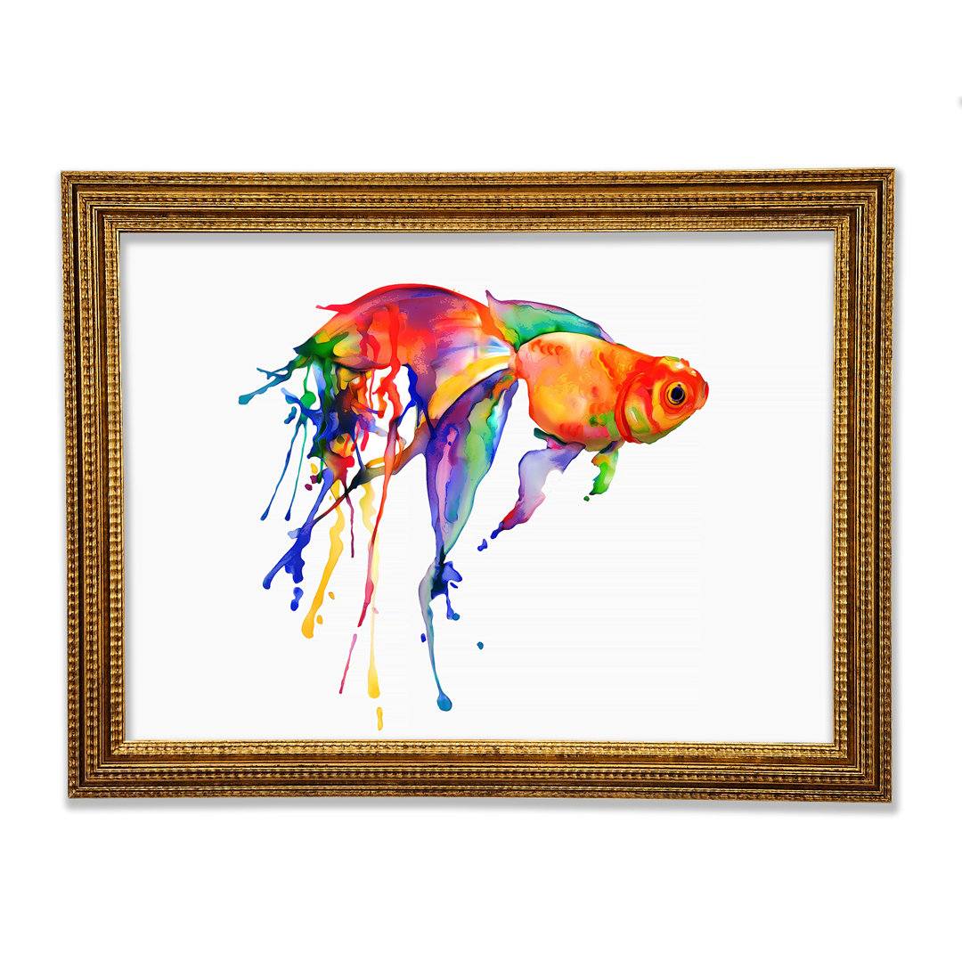 Regenbogen Goldfisch Gerahmter Druck