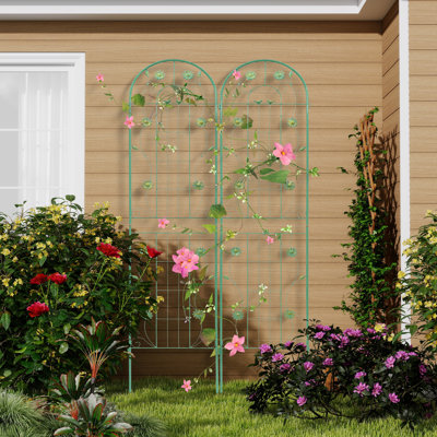 Metal Arched Trellis (Set Of 2)