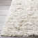 Brampt Area Rug in Ivory