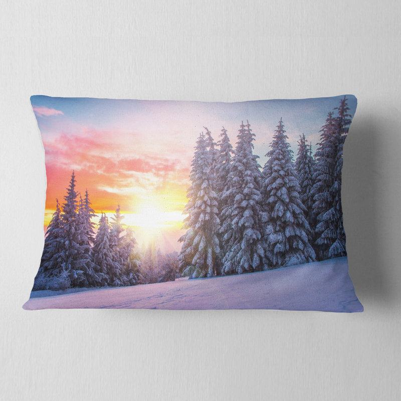 Coussin Schafer Designart