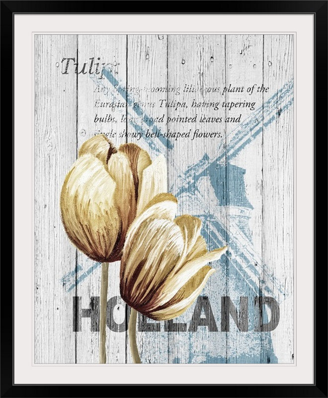 Anneloes «Holland Tulips», Alicia Soave, art textuel, H 30 po x l 24 po x P 1,5 po, Toile