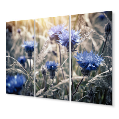 Farmhouse Plants & Flowers Wall Decor on Metal