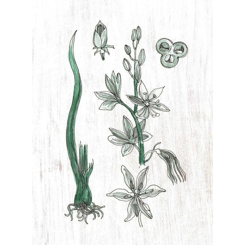 Farmhouse Wall Decor
