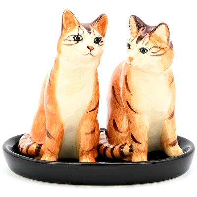Salière et poivrière Tabby orange et plateau en céramique noire