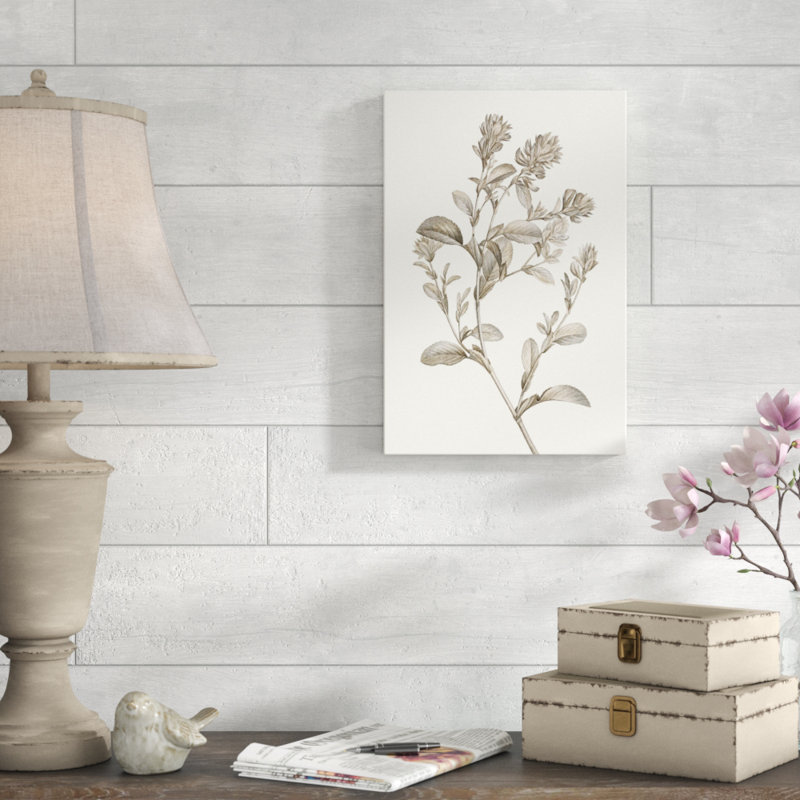 Neutral Botanical Study II by Vision Studio - Painting Print, 46cm H x 30cm W, Wrapped Canvas