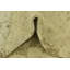 Tapis beige Delao