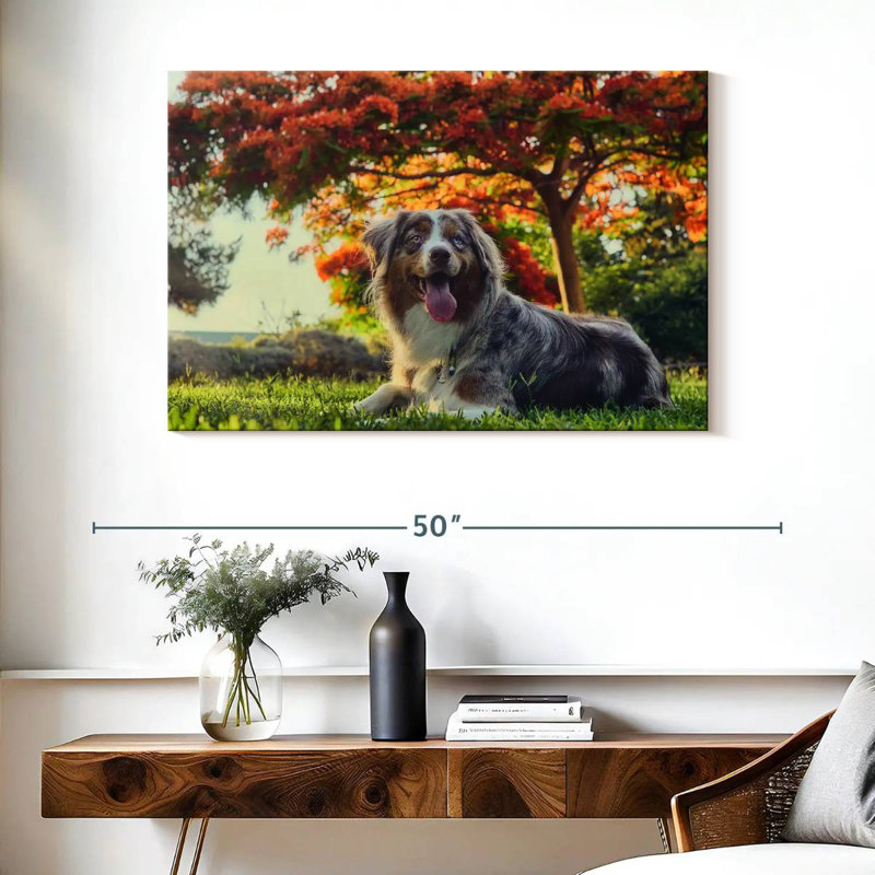 Cherry Border Collie, 26" H x 39" W
