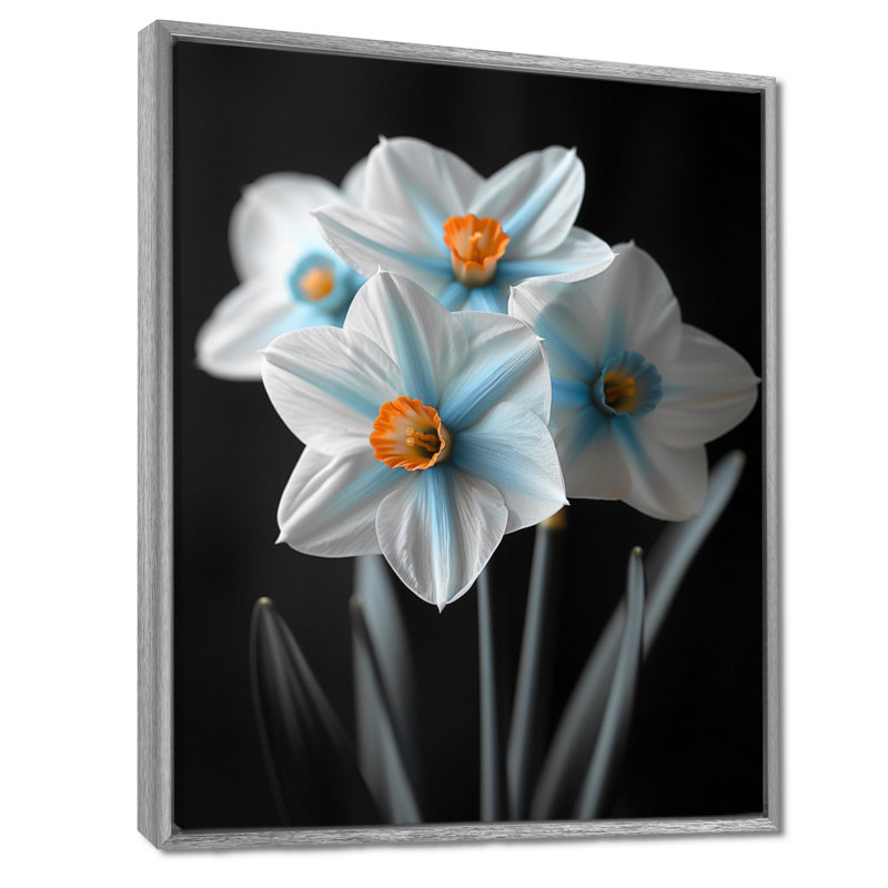 Monochromes Whimsy Wonderland Daffodils II - Jonquilles, art mural, Encadrement argenté, H 12 po x l 20 po