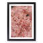 Cherry Blossom - Picture Frame Painting Print-56853129-56853135