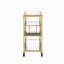 Chariot de service en miroir-1466780832-1466780845