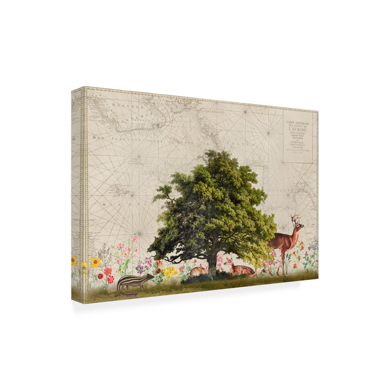 «Nordic Woods No2 On Canvas» par Andrea Haase, reproduction, H 30 po x l 47 po x P 2 po