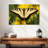Perched Swallowtail Butterfly-107704702