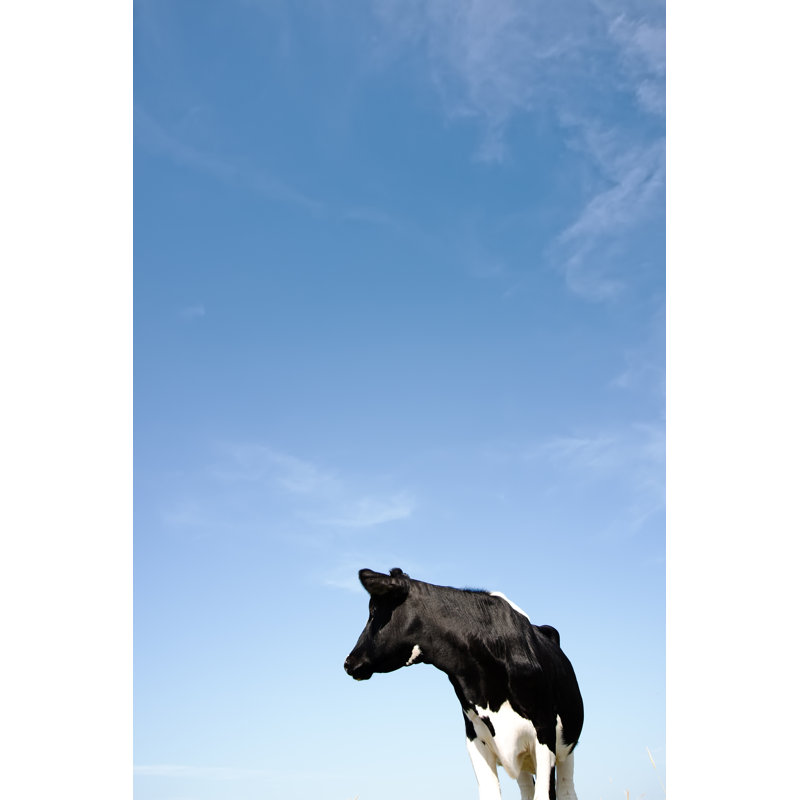 Frisian Cow 1 Piece Wrapped Canvas Wall Art, 122cm H x 81cm W