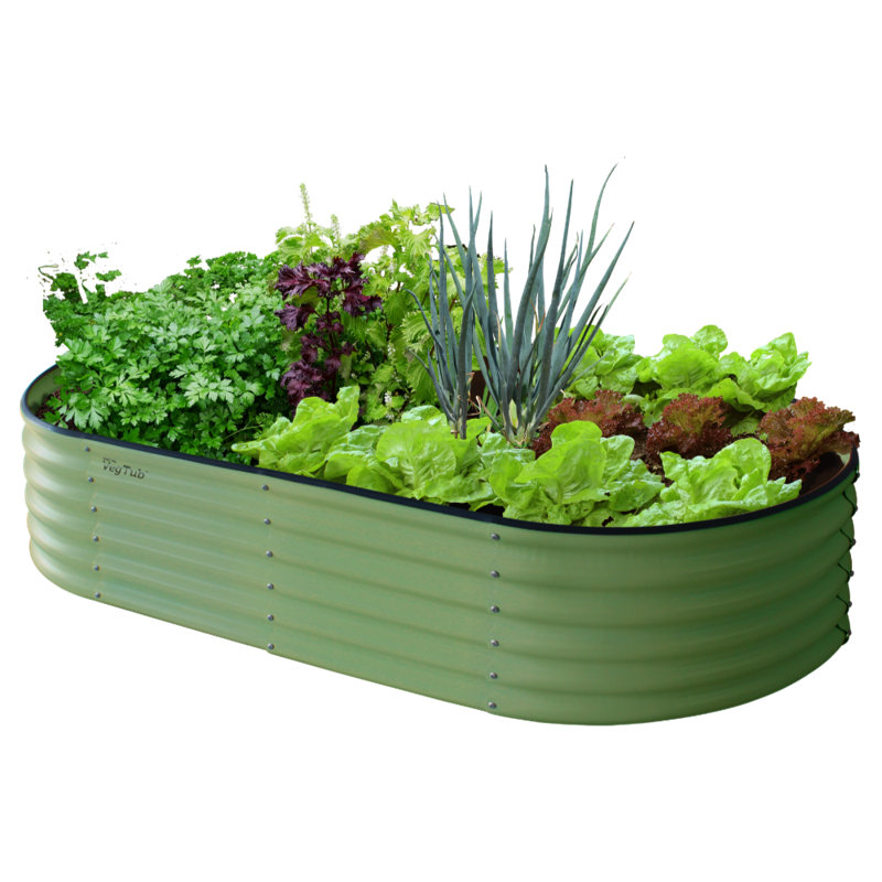 Aniakudo Wood Raised Garden Bed, Green