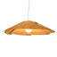 Fuchsia 1 - Light Pendant-68926121