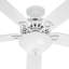 Ventilateur de plafond à 5 pales de 52 po avec chaînette et ensemble d'éclairage inclus Astoria-12031327