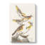 A Collection Of Birds - Wrapped Canvas Painting-55368049