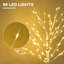 Lighted Trees & Branches