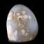 Forme libre de l'agate translucide Betzabe