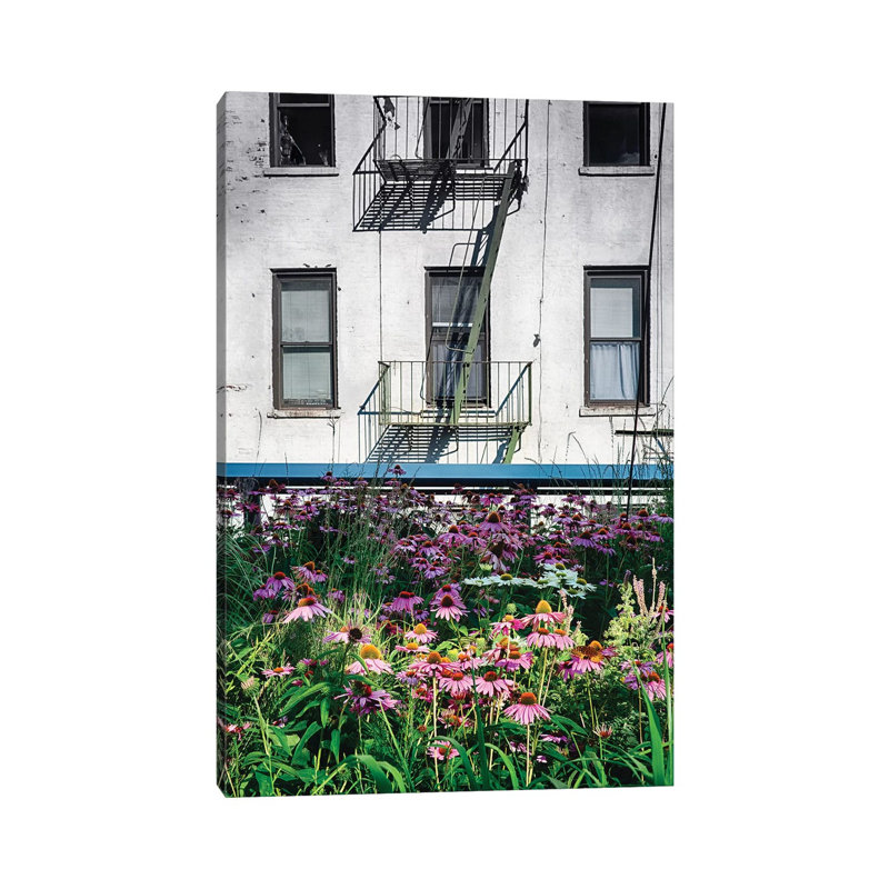 Urban Meadow, New York City by George Oze - Wrapped Canvas Print, 152.5 cm H x 101.5 cm W