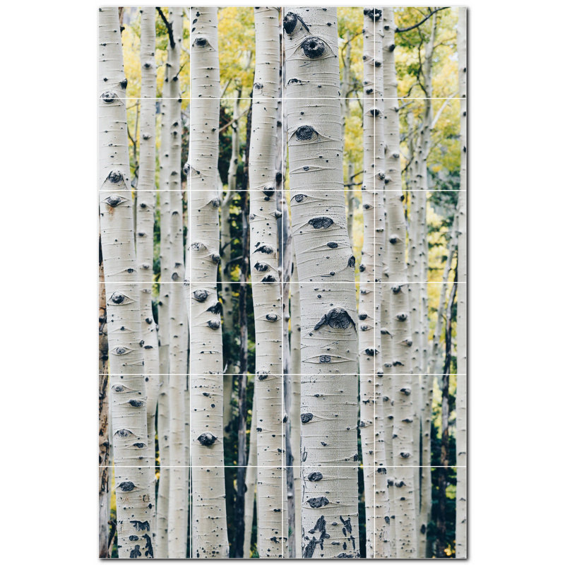 Photo d'arbres 8 x 8