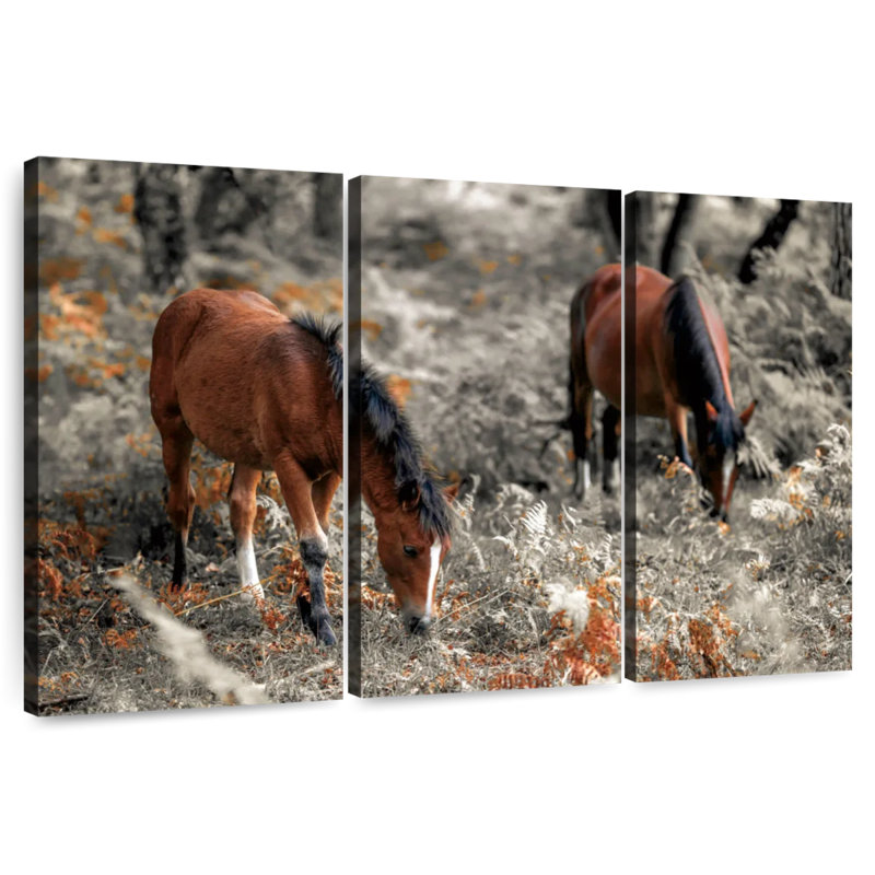 Brampt Horse Trails II, H 24 po x l 38 po