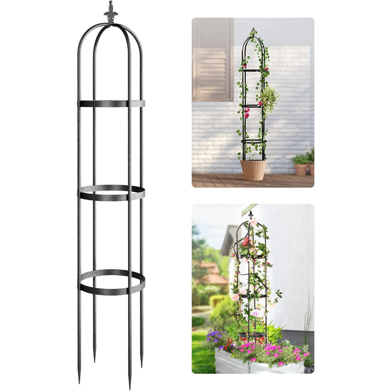 Treillis pour plantes grimpantes Sohvi, Noir, noir, noir, noir