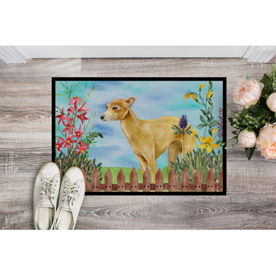Apinya Non-Slip Outdoor Doormat