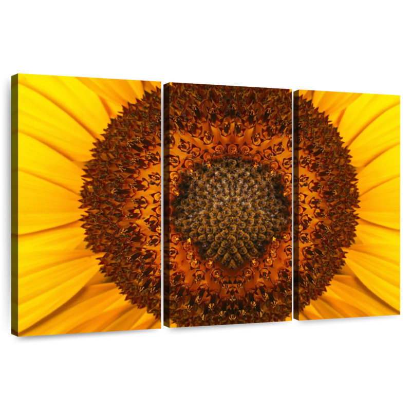 Centre de tournesol Harnek, H 36 po x l 57 po