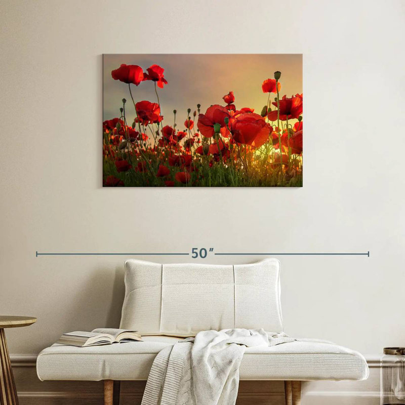 Coquelicots Harnek, H 24 po x l 36 po