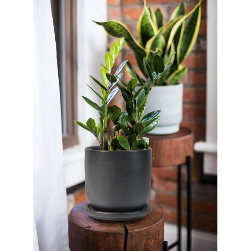 Hobbes Ceramic Pot Planter