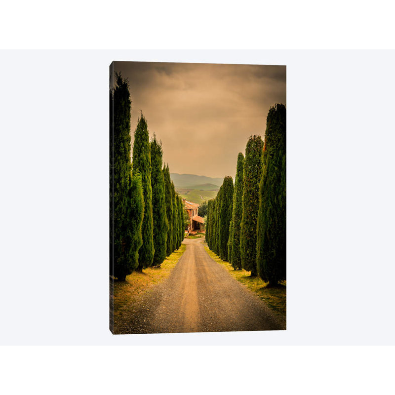 Enzo Romano - Wrapped Canvas Print, 66.04 cm H x 45.72 cm W x 1.91 cm D