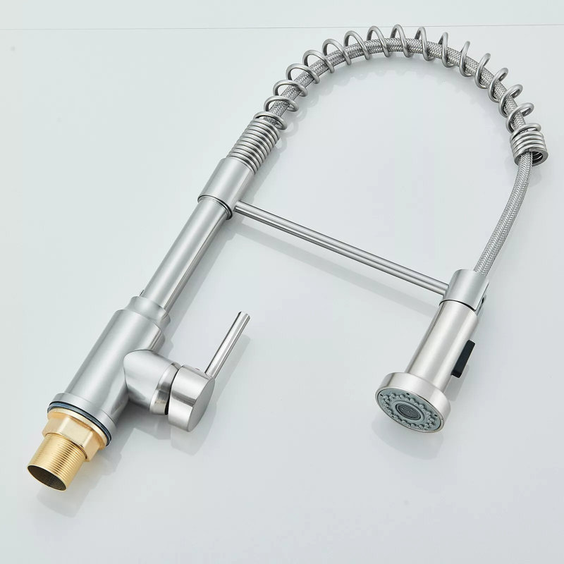 Belfry Kitchen Schunemunk Pull Down Kitchen Faucet
