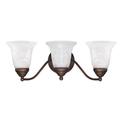 3 - Light Dimmable Vanity Light
