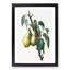 Lemon Pear Tree by Giorgio Gallesio - Picture Frame Painting Print-55582482-55582485