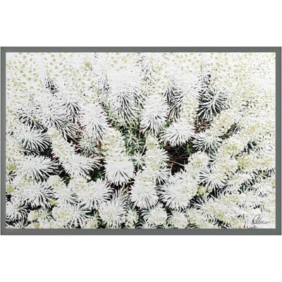 Single Picture Frame Print