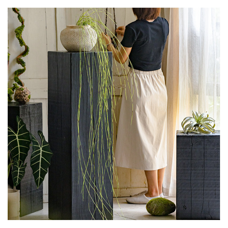 Ikebana en vigne fine en pot, 1, Vert