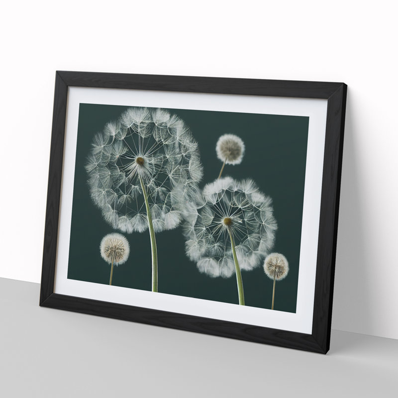Magical Dandelion Flowers - Framed Print, Black, 46cm H x 64cm W x 2cm D