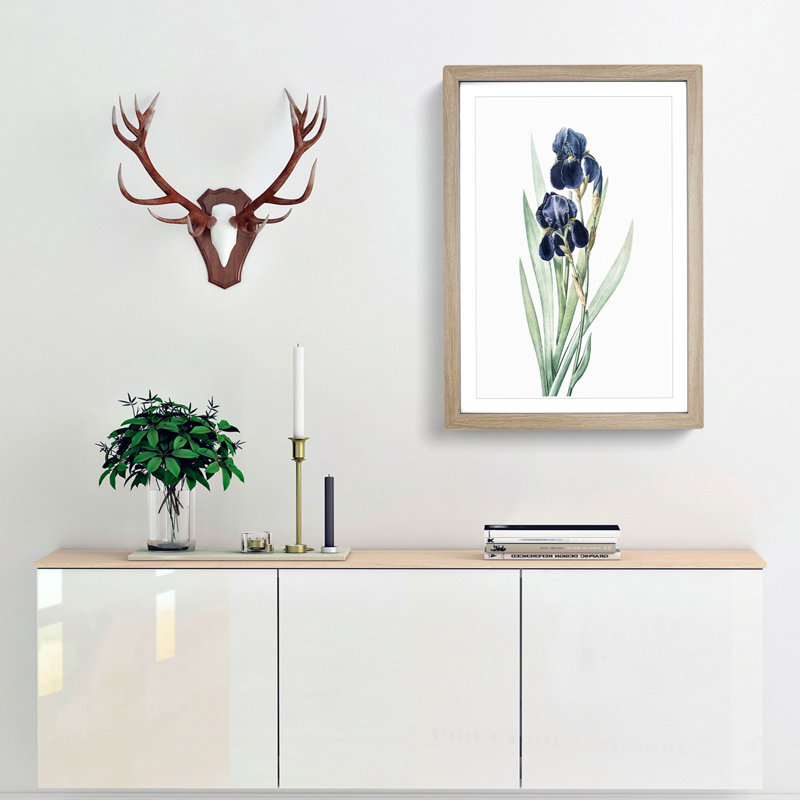 German Iris Flowers by Pierre-Joseph Redoute - Picture Frame Painting Print, 36cm H x 27cm W x 2cm D, Oak Framed