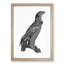 Spotted Eagle Illustration - Framed Print-55729839-55729843