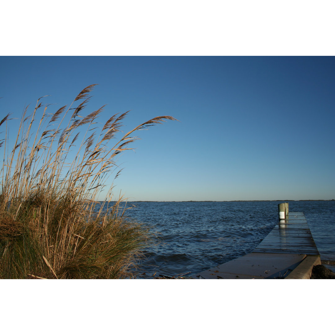 Dockside Reeds von Maxjewel - Leinwandbild