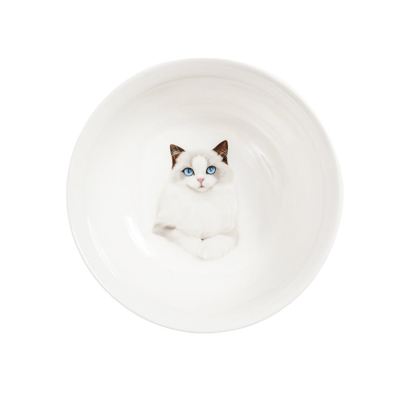 Bol en porcelaine - Ragdoll