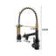Belfry Kitchen Lippencott Pull Down Kitchen Faucet-63771432