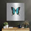 «Blue Butterfly» par PhotoINC Studio-1144051264