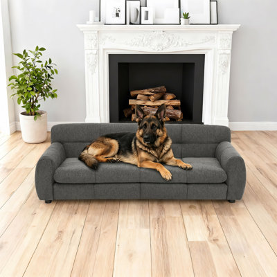 51 Inch Dark Gray Dog Sofa, Comfortable Pet Lounge For Dogs