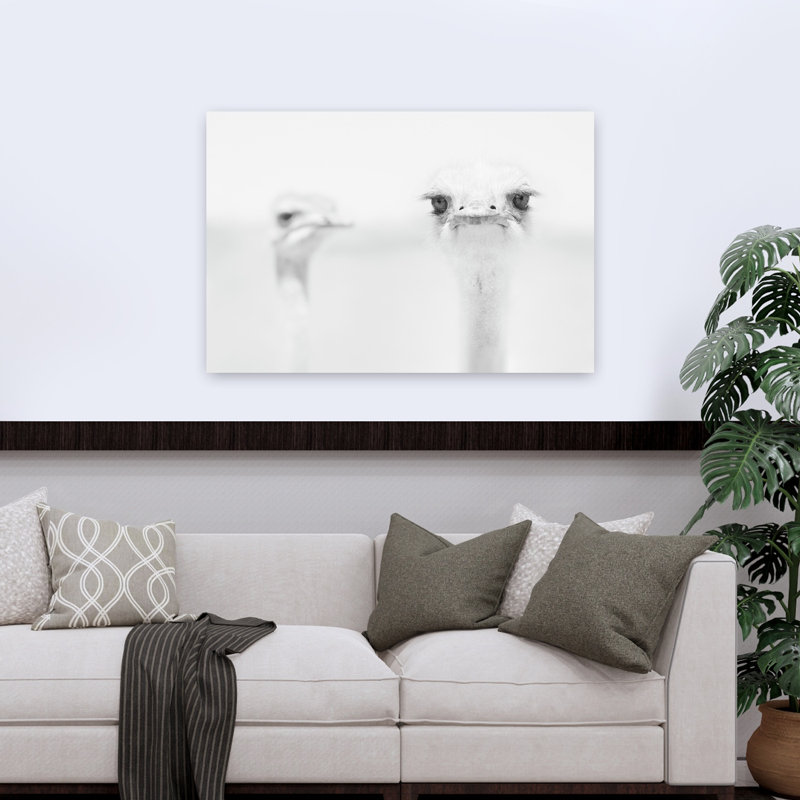 Curious Ostrich Portrait Minimalist Bird Wall Art Print by Carlo Tonti - Wrapped Canvas Print, 81.28cm H x 121.92cm W