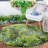 Sunshine Tropical Plants Outdoor Rugs Green-83535412
