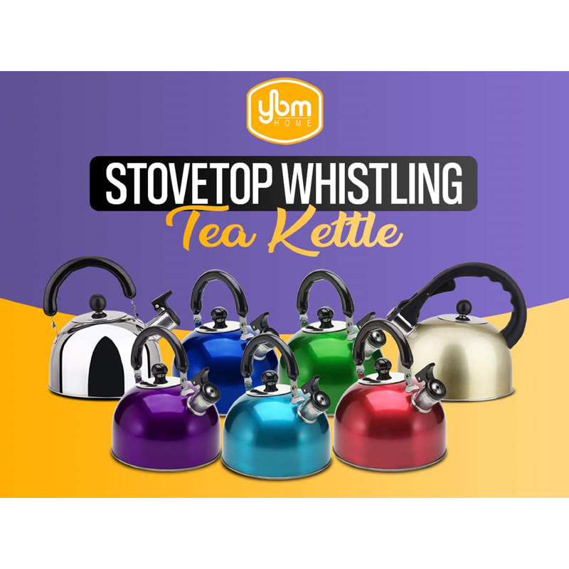 Stainless Steel 4L Whistling Tea Kettle with Black Handle